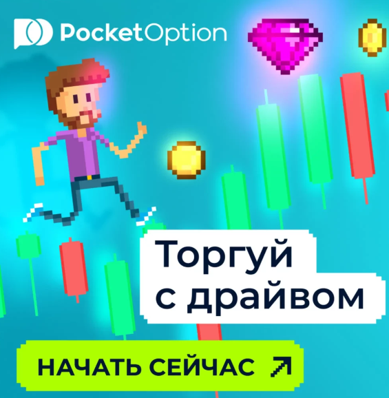 Pocket Option Terms and Conditions Essential Insights